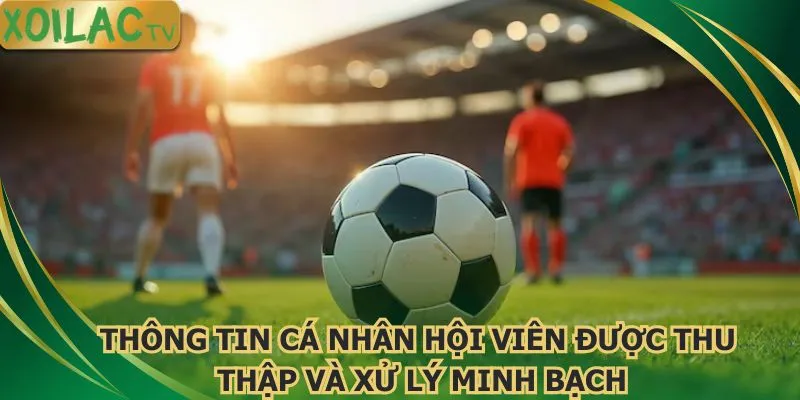 thong-tin-ca-nhan-hoi-vien-duoc-thu-thap-va-xu-ly-minh-bach