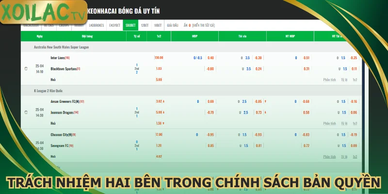 trach-nhiem-hai-ben-trong-chinh-sach-ban-quyen