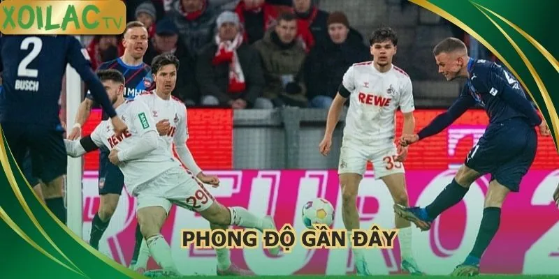 phong-do-gan-day-fc-cologne-vs-fc-heidenheim